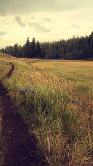 超级蜘蛛池最新截图1