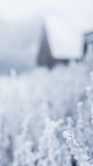 梦幻西游私服截图3