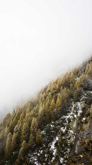 蜘蛛池软件怎么搭建截图3