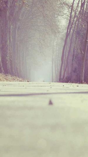 泛目录还有效吗截图5