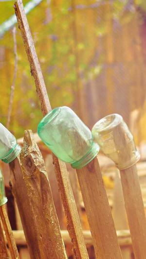 蜘蛛池软件怎么搭建截图4