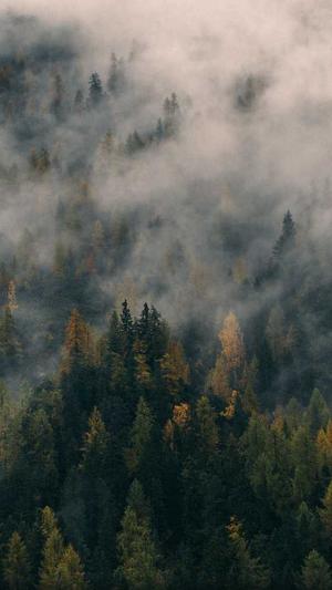 小旋风万能蜘蛛池截图1