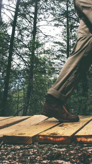 梦幻西游私服截图4