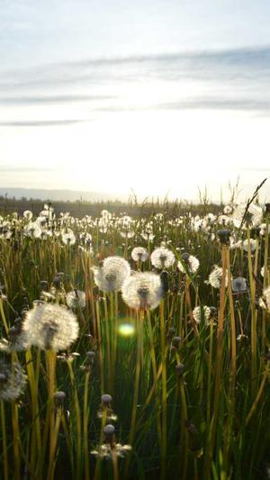 泛目录站群软件价格截图1