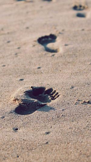 西藏蜘蛛池出租服务截图2