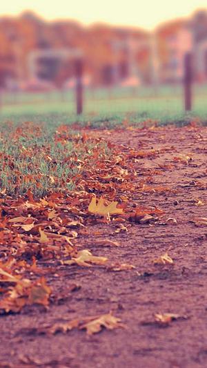 泛目录优化网站截图3