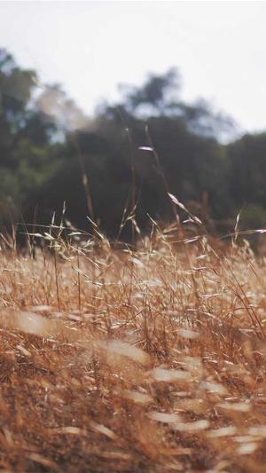 网络seo优化截图2