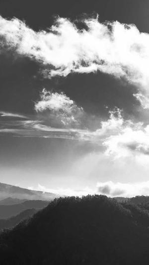 泛目录推送工具截图4