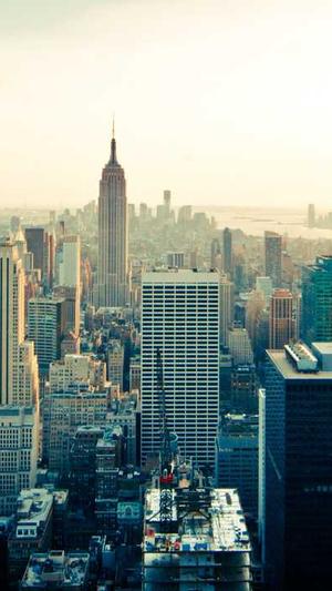 蜘蛛池做seo排名靠谱吗截图1