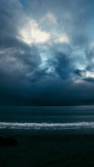 seo推广技术截图2