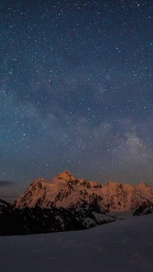 蜘蛛池有什么用的截图3