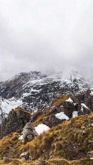 天道2016蜘蛛池下载截图3