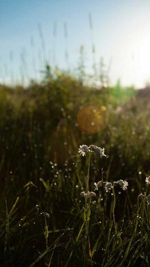 泛目录与二级目录截图3