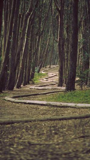 重庆网站seo什么意思截图4