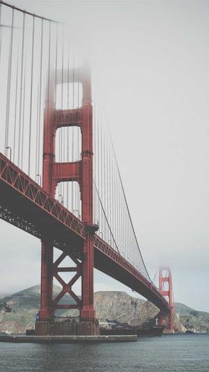 小旋风蜘蛛池程序截图2