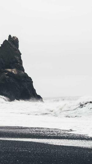 搜狗蜘蛛池代理截图4