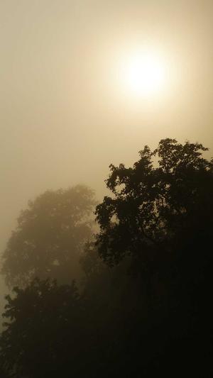 什么蜘蛛池比较好养截图5