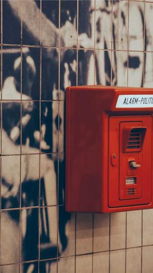 超级蜘蛛池积分截图5