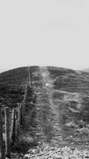 蜘蛛池技术截图4