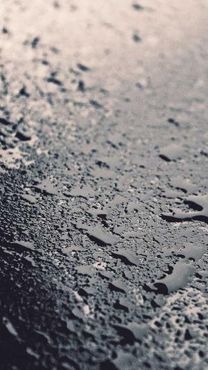 泛目录怎么快速收录截图3