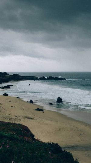 小旋风蜘蛛池授权截图4