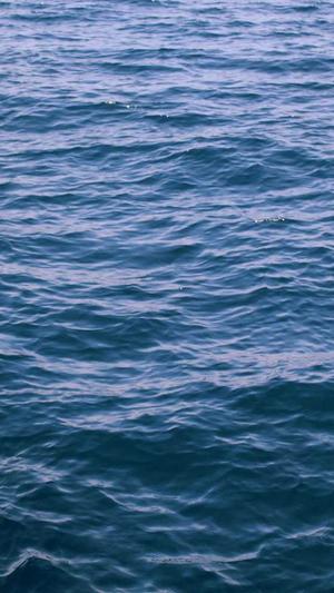 梦幻西游手游私服发布截图1