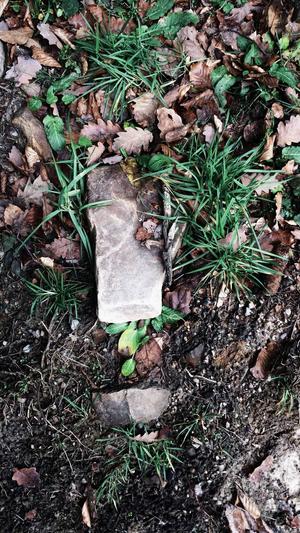 蜘蛛池登录截图1