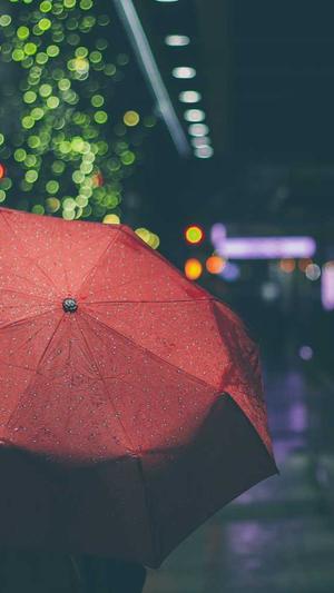 上海seo学习截图1