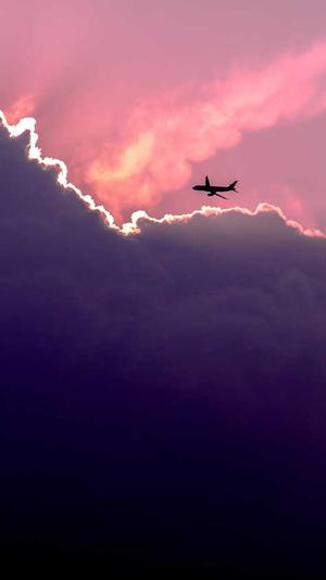 seo网络优化公司截图3