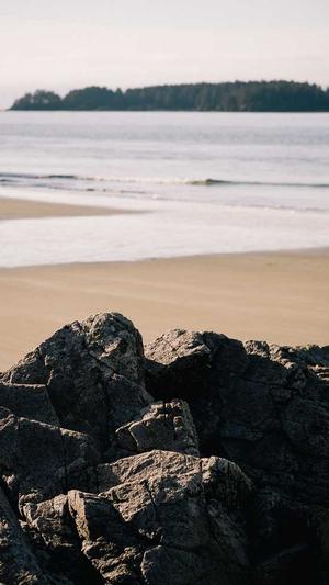 网络优化seo截图4