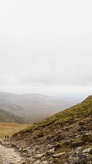 seo排名培训截图1