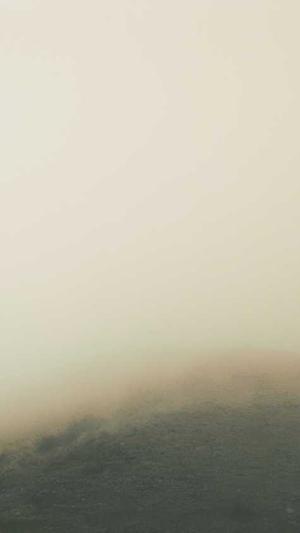 seo自动推广截图2