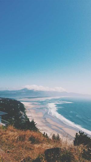 seo优化知识截图1