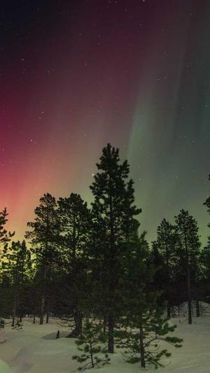 中国科学院蜘蛛池截图1