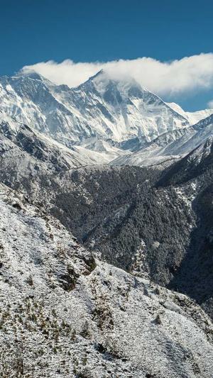 蜘蛛池价格全会zjkwlgs截图2
