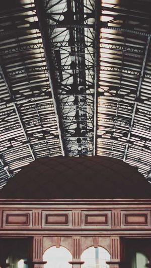 蜘蛛池泛站群截图5