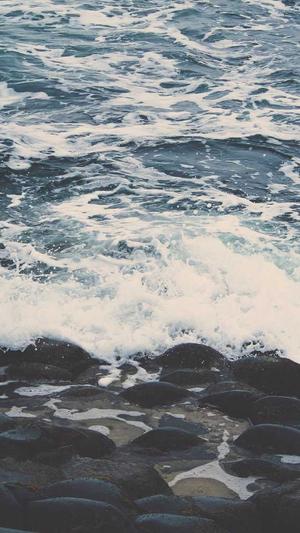 重庆seo综合优化截图4