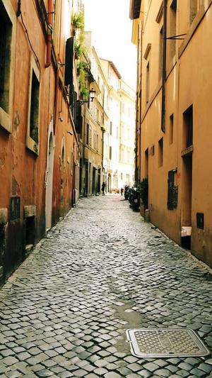 重庆怎么站seo截图2