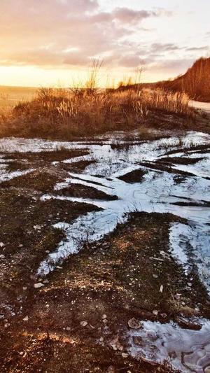 泛目录二级域名截图4