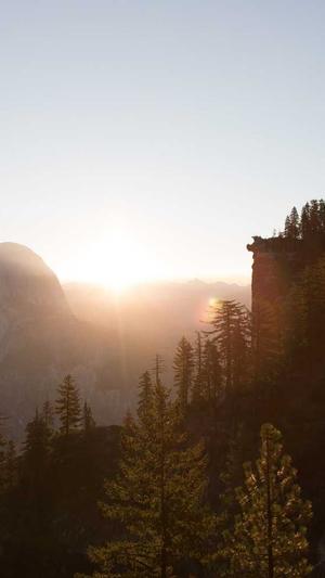 google蜘蛛池怎么做截图2