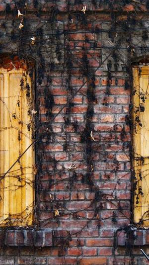 给力外推蜘蛛池截图2