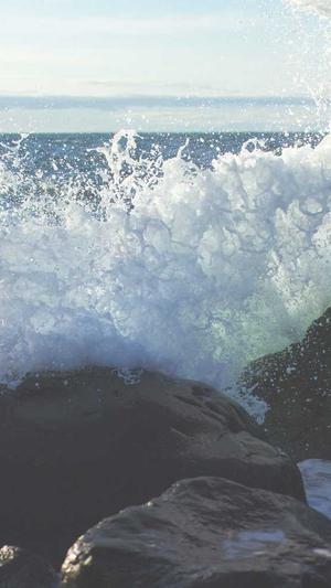 重庆seo优化怎么样截图4