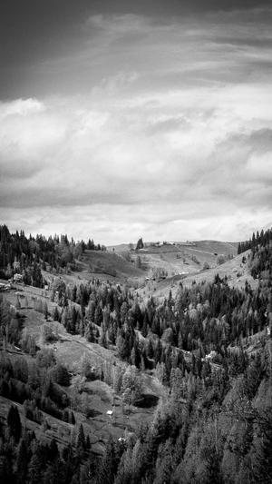 搜狗蜘蛛池有哪些网站截图5