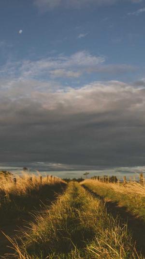 深圳seo博客截图3