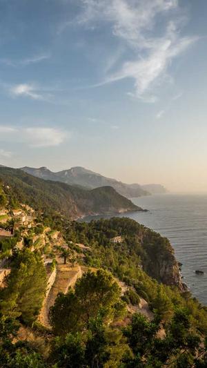 小型蜘蛛池截图3