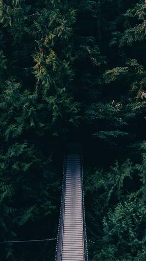 宁波seo教程泛目录截图2