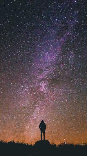 蜘蛛池出租服务选哪家截图5