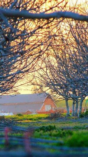 零距离泛目录引流推广截图2