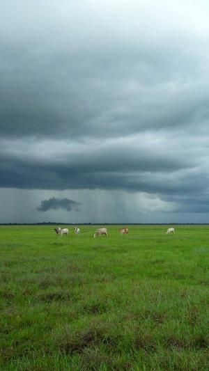 做泛目录排名掉吗截图5