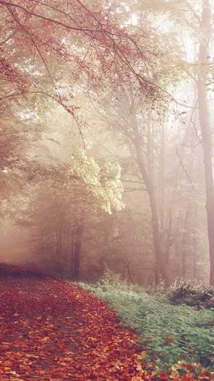 seo泛目录怎么操作推广截图3